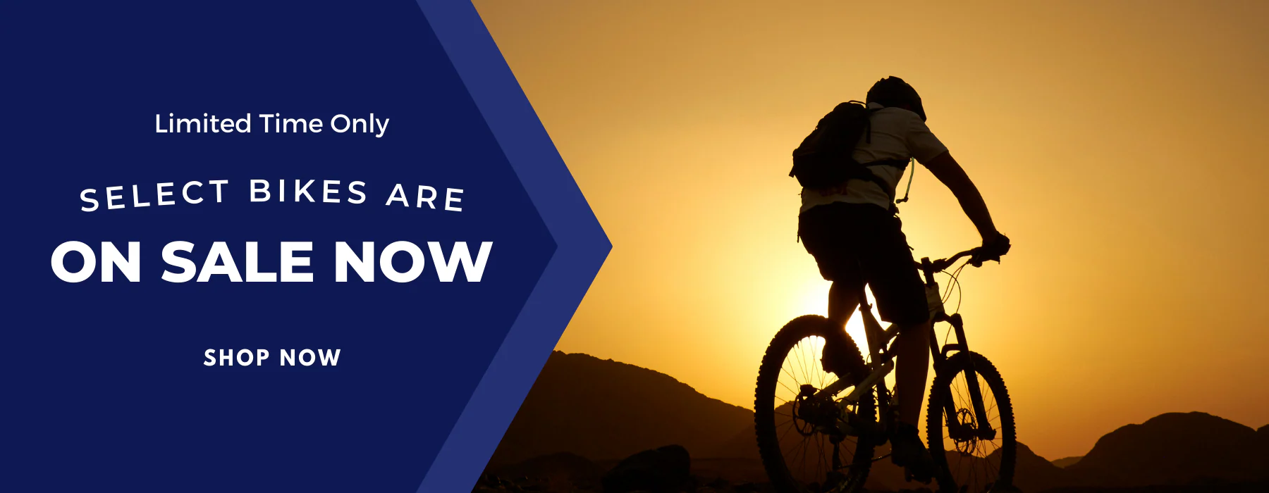 Ride Your Passion with Bike Lover